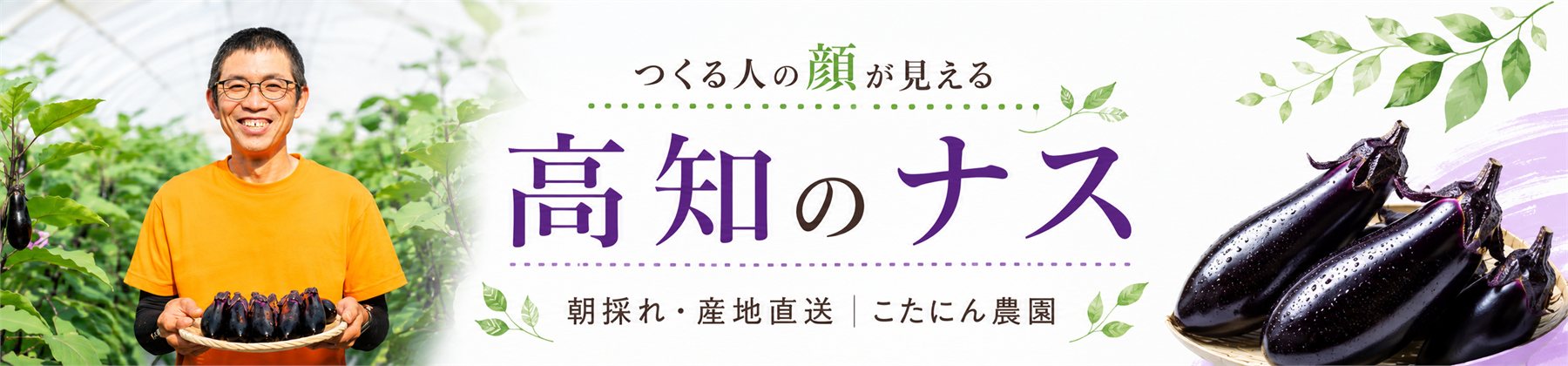 つくる人の顔が見える、高知のナス。朝採れ・産地直送 こたにん農園